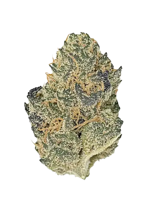 Cherry Gas, yakıtımsı aroması ve yüksek THC içeriğiyle bilinen Indica baskın bir türdür. Spazmlar ve uykusuzluğa iyi gelir. Genetik yapısını keşfedin.