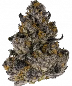 Cherry Ghost, tatlı kiraz aroması ve dengeli etkileriyle öne çıkan bir türdür. Yaratıcılığı destekleyen ve rahatlatan bu hibrit türü keşfedin.