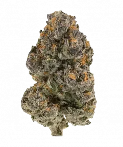 Cherry Gushers, tatlı orman meyveleri aroması ve yüksek THC içeriğiyle bilinen Indica dominant bir türdür. Ağrı ve uykusuzluğa iyi gelir. Özelliklerini keşfedin.