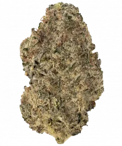 Cherry Jane, tatlı kiraz aroması ve rahatlatıcı etkileriyle bilinen dengeli bir hibrit türdür. Stresi azaltan bu özel türü hemen keşfedin.