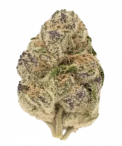 Cherry Cola, tatlı meyve aromaları ve THC ile öne çıkan Indica dominant bir türdür. Depresyon ve uykusuzluğa iyi gelir. Özelliklerini keşfedin.