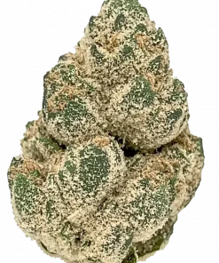 Cherry Kush, tatlı meyve aromaları ve rahatlatıcı etkileriyle bilinen Indica baskın bir türdür. Purple Afghani genetiğini keşfedin ve detaylı özelliklerini görüntüleyin.