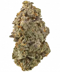 Cherry Lime Reserve, zesty lime ve tatlı kiraz aromalarıyla öne çıkan dengeli bir hibrit türüdür. Yüksek THC içeriğiyle keyifli bir deneyim sunar. Hemen keşfedin.