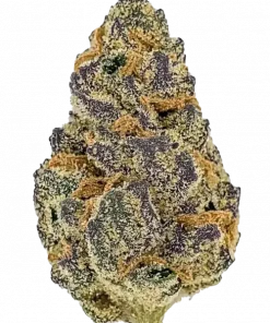 Cherry on Top, kiraz aromaları ve THC oranıyla öne çıkan dengeli bir hibrit türdür. Yüksek verimiyle dikkat çeker. Genetik yapısını keşfedin.