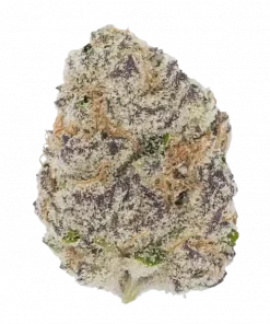 Cherry Punch, tatlı kiraz aroması ve THC içeriğiyle öne çıkan dengeli bir hibrit türdür. Stres ve depresyona iyi gelir. Etkilerini keşfedin.