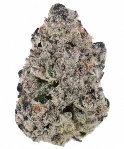 Cherry Royal, belirgin kiraz aroması ve yüksek THC içeriğiyle öne çıkan indica dominant bir türdür. Sakinleştirici etkilerini ve genetik yapısını keşfedin.