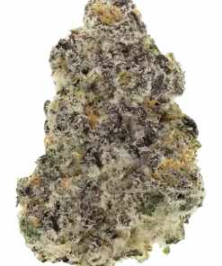 Cherry Runtz, tatlı meyve ve elma aromalarıyla öne çıkan dengeli bir hibrit türdür. Depresyon ve ağrıları hafifletici etkilerini keşfedin. Hemen görüntüleyin.