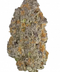 Cherry Smash, kiraz aroması ve dengeli yapısıyla öne çıkan hibrit bir türdür. Stres ve kaygı azaltıcı etkileri keşfedin. Genetik özelliklerini görüntüleyin.