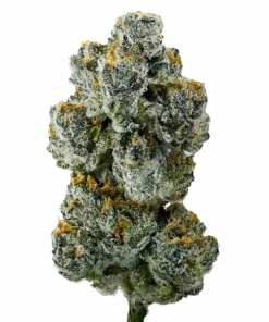 Cherry Strudel, kiraz ve limon aromalarıyla öne çıkan indica baskın bir türdür. Stresi azaltan ve rahatlatan etkilerini keşfedin. Genetik yapısını görüntüleyin.