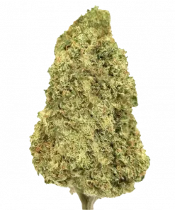 Cherry Sunset Kush, tatlı kiraz aroması ve dengeli etkisiyle bilinen bir hibrit türdür. Stres ve kaygıyı azaltmaya yardımcı olabilir. Özelliklerini keşfedin.