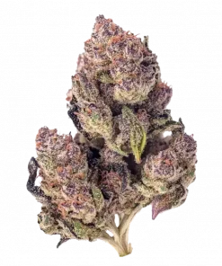 Cherry Superboof #26, çilek aroması ve yüksek THC içeriğiyle öne çıkan dengeli bir hibrit türdür. Genetik yapısını ve potansiyel faydalarını keşfedin.