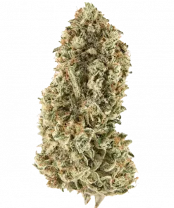 Cherry Topped Tartz, tatlı meyve ve yakıtımsı aromalarıyla öne çıkan bir hibrit türdür. Yoğun zihinsel etkileri ve genetik yapısını keşfedin.