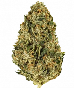 Cherry Zkittlez, tatlı kiraz aroması ve dengeli etkisiyle öne çıkan 50/50 hibrit türdür. Ağrı ve stresi hafifletmeye yardımcı olabilir. Özelliklerini keşfedin.