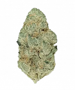 Cherry Zlushie, tatlı meyve aroması ve 'ye varan THC içeriğiyle öne çıkan indica baskın bir türdür. Benzersiz deneyimini keşfedin ve etkilerini görüntüleyin.