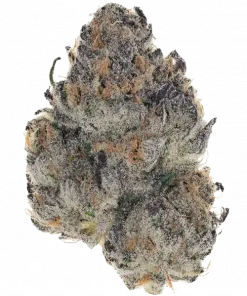 Cherry Zoap R1, kremsi meyve aromaları ve dengeli etkileriyle öne çıkan bir hibrit türdür. Depresyon ve stresi azaltmaya yardımcıdır. Özelliklerini keşfedin.