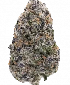 Cherry Ztripez, kiraz aroması ve yüksek THC içeriğiyle öne çıkan dengeli bir hibrit türdür. Yaratıcılığı destekleyen etkileri keşfedin ve hemen görüntüleyin.