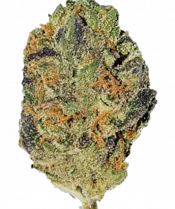 Chiesel, yakıtımsı aroması ve dengeli etkisiyle öne çıkan bir hibrit türdür. Yüksek verim ve keyifli deneyim için genetik yapısını keşfedin.