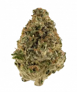 Chilled Cherries, kiraz aromaları ve yüksek THC içeriğiyle bilinen indica baskın bir türdür. Yoğun rahatlama ve tatlı meyve lezzetini keşfedin.