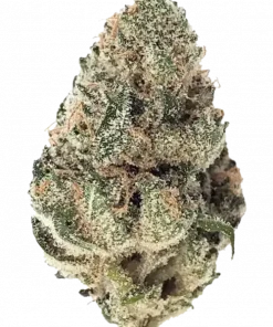 Chocolate Diesel, yakıtımsı çikolata aroması ve + THC içeriğiyle öne çıkan Sativa baskın bir türdür. Eşsiz lezzet profilini ve etkilerini keşfedin.