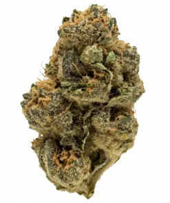 Chocolate Skilatti, tatlı meyve aromaları ve yüksek THC içeriğiyle öne çıkan Indica dominant bir türdür. Rahatlatıcı etkilerini keşfedin ve hemen görüntüleyin.