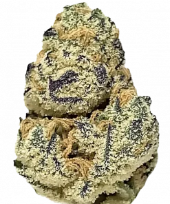 Chocolatina, tatlı kahve aromasıyla öne çıkan Indica baskın bir türdür. Yaratıcılığı artıran ve stresi azaltan etkilerini keşfedin. Genetik yapısını görüntüleyin.