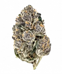 Chrome Dome, sert limonsu aroması ve THC içeriğiyle öne çıkan Indica baskın bir türdür. Spazmlara karşı potansiyel faydalarını keşfedin ve genetik yapısını görüntüleyin.