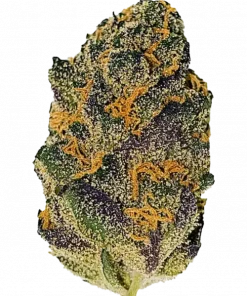 Chronic, tatlı meyve aromaları ve yüksek THC içeriğiyle bilinen baskın bir Indica türüdür. Sosyal etkileri ve genetik yapısını keşfedin.