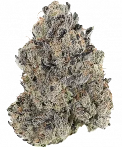 Chronic Cake, vanilya aromaları ve yüksek THC içeriğiyle öne çıkan bir hibrit türdür. Dengeli etkileri ve genetik yapısını keşfedin.