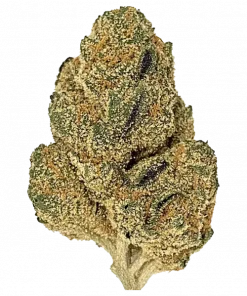 Churro, tatlı yaban mersini aroması ve dengeli yapısıyla öne çıkan bir hibrit türdür. 'e varan THC içeriğiyle potansiyel faydalarını keşfedin ve hemen görüntüleyin.