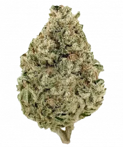 Cinex, yüksek THC'si, tatlı çam aroması ve enerji verici Sativa etkisiyle öne çıkan bir türdür. Yaratıcılığı artırmak için Cinex'i keşfedin.