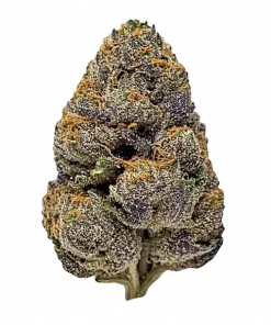 Cinnamon Milk, tatlı aroması ve THC oranıyla öne çıkan Indica baskın bir türdür. Rahatlatıcı etkilerini ve genetik yapısını keşfedin.