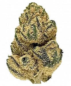 Citrus Punch, tatlı narenciye aroması ve enerji verici etkileriyle bilinen sativa baskın bir türdür. Bu eşsiz türün genetik yapısını ve faydalarını keşfedin.