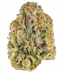 Clementine Gold, tatlı narenciye aroması ve dengeli etkileriyle öne çıkan bir türdür. Depresyon ve stresi azaltmaya yardımcı olabilir. Bu özel türü keşfedin.