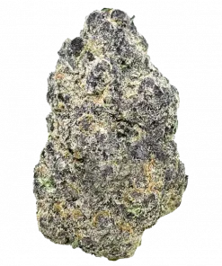 ClemonadeZ, keskin limon aroması ve yüksek verimiyle öne çıkan dengeli bir hibrit türdür. Canlandırıcı etkilerini ve kolay yetiştirme özelliklerini keşfedin.