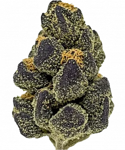 Coco Chanel, yakıtımsı ve üzümsü aromalarıyla öne çıkan Indica dominant bir türdür. THC içeriğiyle rahatlatıcı etkilere sahiptir. Özelliklerini keşfedin.