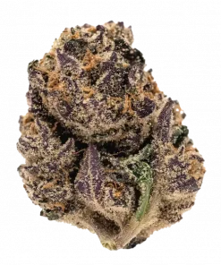 Coconut Horchata, kremsi vanilya aroması ve yüksek THC içeriğiyle öne çıkan Indica dominant bir türdür. Etkilerini ve genetik yapısını keşfedin.