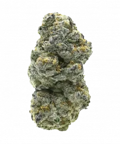 Coconut Milk, tatlı meyve ve vanilya aromalarıyla öne çıkan Indica baskın bir türdür. Yüksek THC içeriğiyle güçlü etkilere sahiptir. Özelliklerini keşfedin.