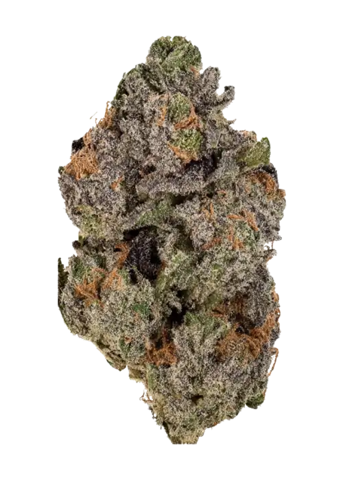 Code Red, ananas aroması ve yüksek THC içeriğiyle öne çıkan Indica dominant bir türdür. Depresyon ve uykusuzluğa iyi gelir. Genetik yapısını keşfedin.