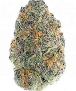 Coffin Candy, tatlı meyve aromaları ve yüksek THC içeriğiyle bilinen bir hibrit türdür. Doja'nın popüler genetiğini keşfedin ve eşsiz özelliklerini görüntüleyin.