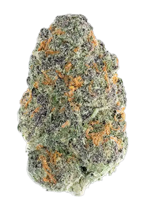 Coffin Candy, tatlı meyve aromaları ve yüksek THC içeriğiyle bilinen bir hibrit türdür. Doja'nın popüler genetiğini keşfedin ve eşsiz özelliklerini görüntüleyin.