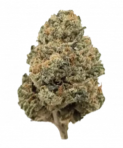 Coka, yakıtımsı ve meyvemsi aromalarıyla öne çıkan dengeli bir hibrit türüdür. Yüksek THC içeriği ile mutluluk ve yaratıcılık sunar. Özelliklerini keşfedin.