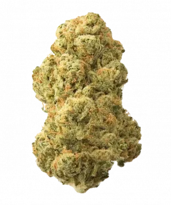 Cold Snap, narenciye ve nane aromalarıyla öne çıkan, Indica baskın bir türdür. Depresyon ve stresi azaltmaya yardımcı olabilir. Özelliklerini keşfedin.