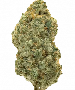 Cold Znapz, yakıtımsı ve naneli aromasıyla öne çıkan indica baskın bir türdür. THC ile yoğun rahatlama sağlar. Etkilerini ve faydalarını keşfedin.