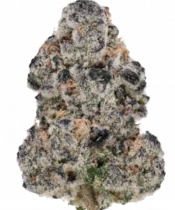 Collision Kush, yakıtımsı aroması ve rahatlatıcı etkileriyle öne çıkan indica baskın bir türdür. Yoğun yapısıyla dikkat çeker. Özelliklerini keşfedin.