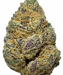 Compound Z, vanilya aroması ve dengeli etkisiyle öne çıkan hibrit bir türdür. White Runtz genetiğiyle rahatlatıcı etkilerini keşfedin ve hemen inceleyin.