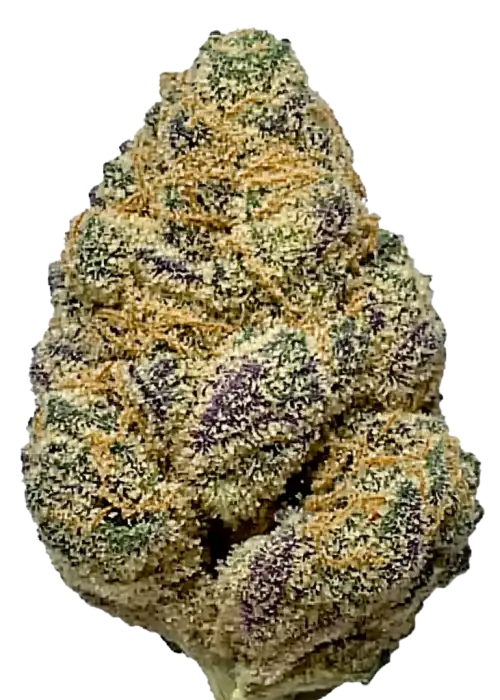 Compound Z, vanilya aroması ve dengeli etkisiyle öne çıkan hibrit bir türdür. White Runtz genetiğiyle rahatlatıcı etkilerini keşfedin ve hemen inceleyin.