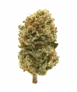 Conjugal Visit, tatlı aroması ve dengeli genetiğiyle öne çıkan bir hibrit türdür. Yüksek THC içeriği sayesinde rahatlatıcı etkilerini keşfedin. Hemen görüntüleyin.