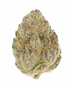 Cookie Dough, nane aroması ve yüksek THC içeriğiyle öne çıkan dengeli bir hibrit türdür. Canlandırıcı etkilerini ve genetik yapısını keşfedin.