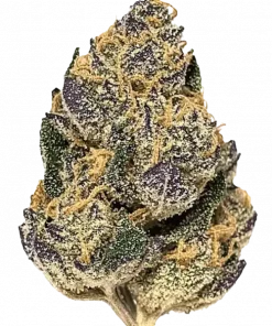 Cookie Monster, vanilya aroması ve rahatlatıcı etkisiyle bilinen güçlü bir Indica türüdür. GSC ve OG Kush genetiğiyle eşsiz bir deneyim sunar. Hemen keşfedin.