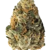 Cookies Kush, sert aroması ve dengeli etkileriyle bilinen Indica dominant bir türdür. OG Kush genetiği ile yaratıcılığınızı keşfedin. Hemen görüntüleyin.